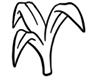 Natuurlijke DHA