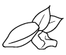 Cacaoboter